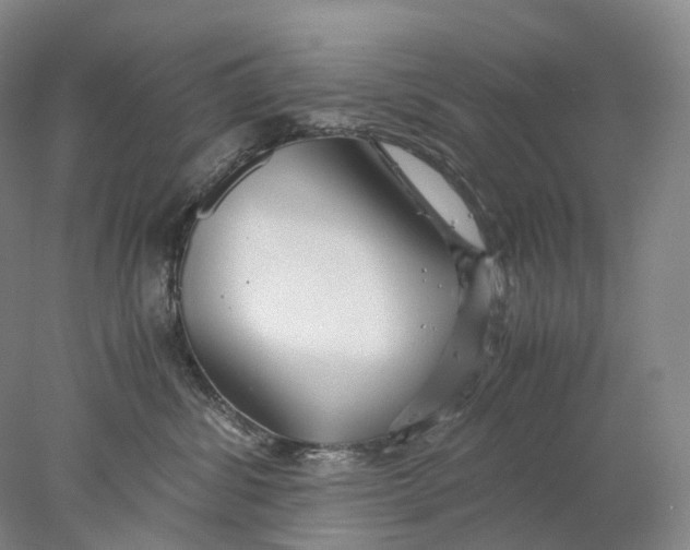X0000078000428200611171825