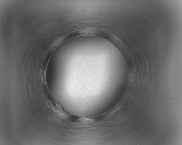 X0000078000429200611171825