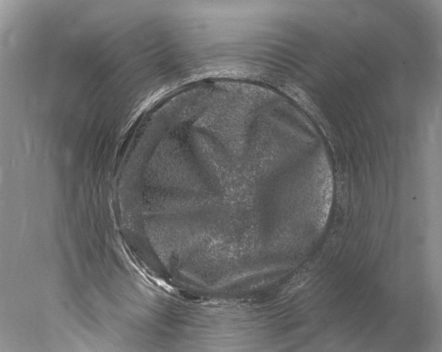 X0000078000434200611171824