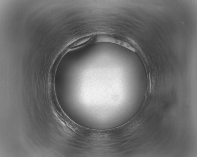 X0000078000435200611171824