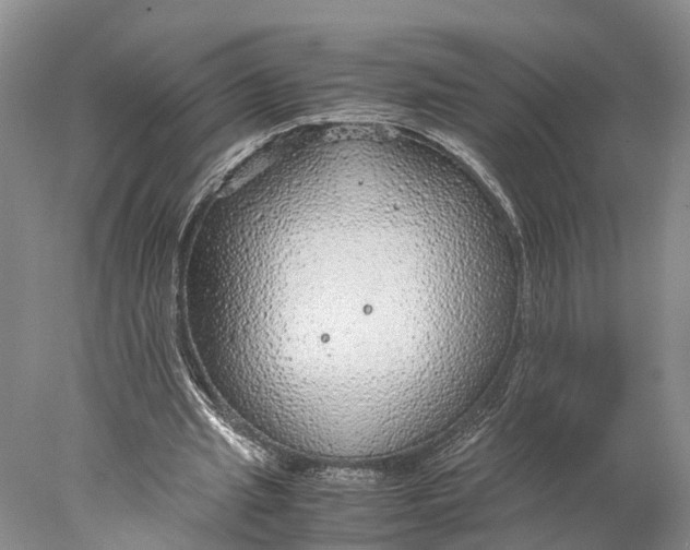 X0000078000437200611171824