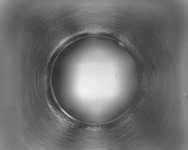 X0000078000440200611171824