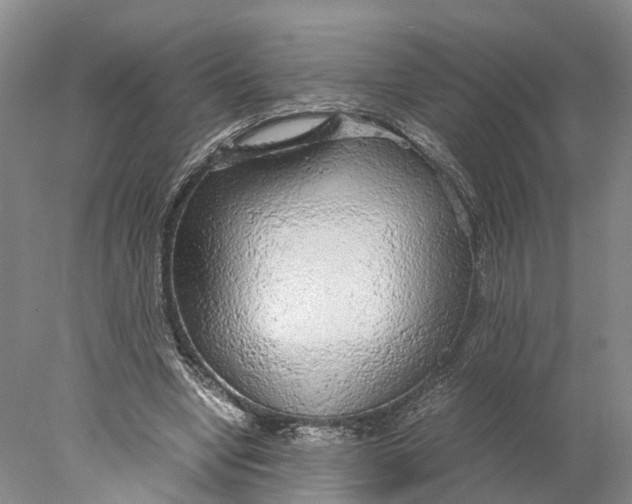 X0000078000442200611171824