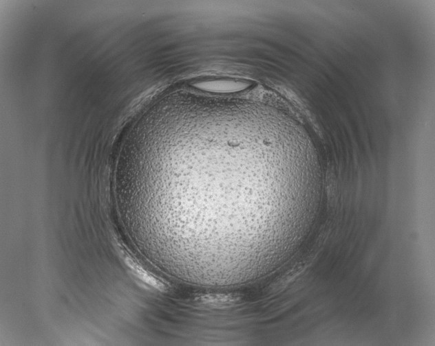 X0000078000445200611171825