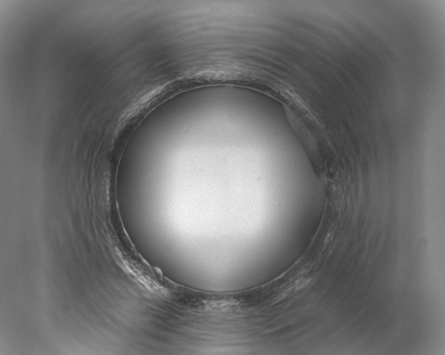 X0000078000446200611171825