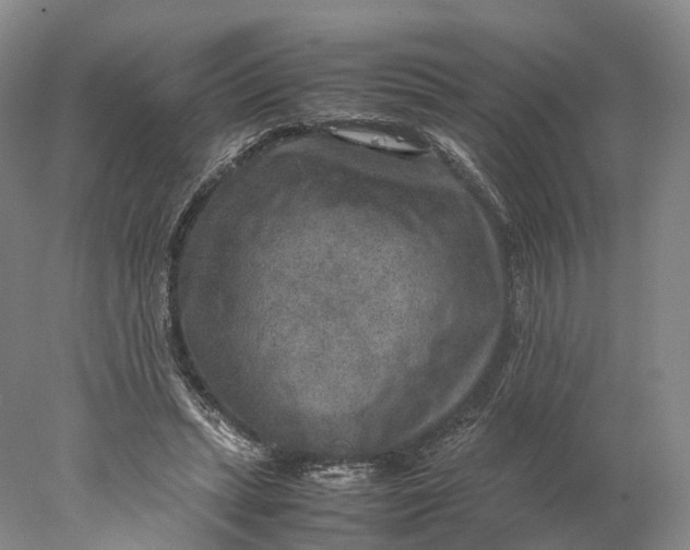 X0000078000447200611171825