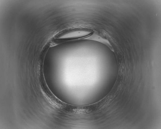 X0000078000448200611171825