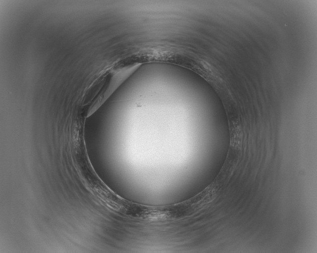 X0000078000456200611171825