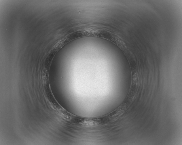 X0000078000464200611171825