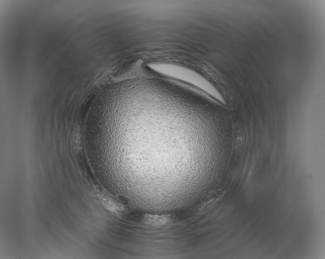 X0000078000469200611171825