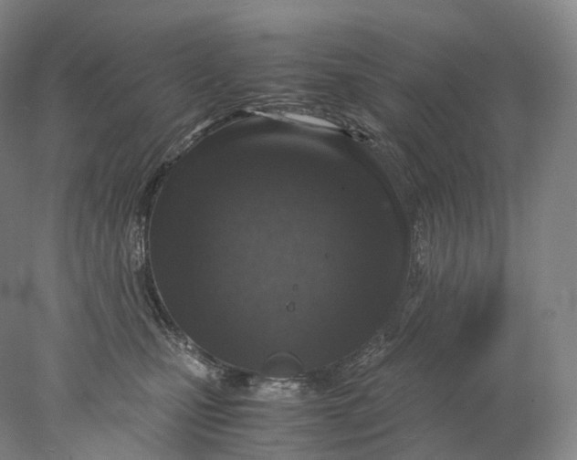 X0000078000471200611171825