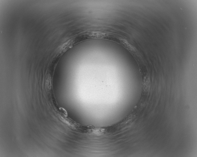 X0000078000474200611171825