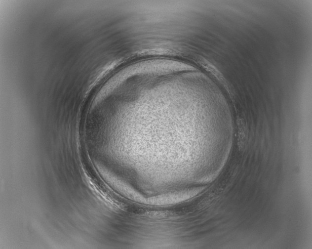 X0000078000482200611171824