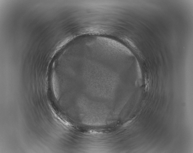 X0000078000488200611171824