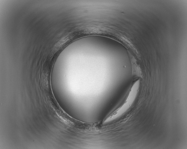 X0000078000489200611171824