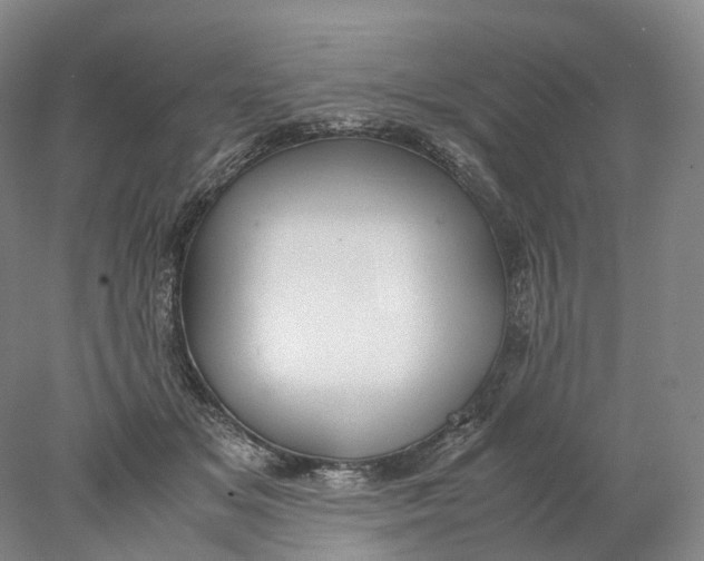 X0000078000509200611171824