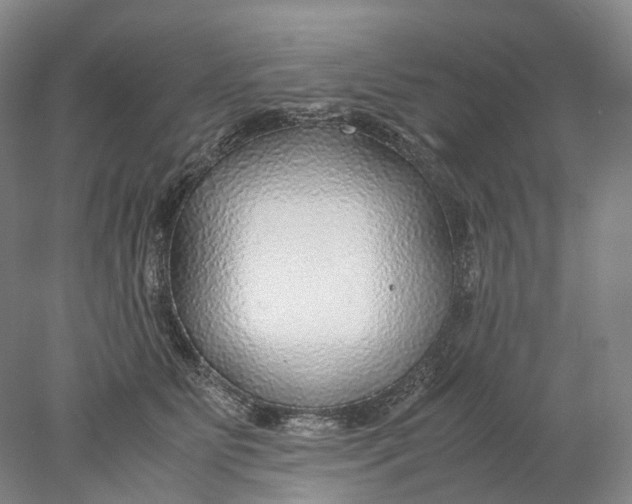 X0000078000515200611171824