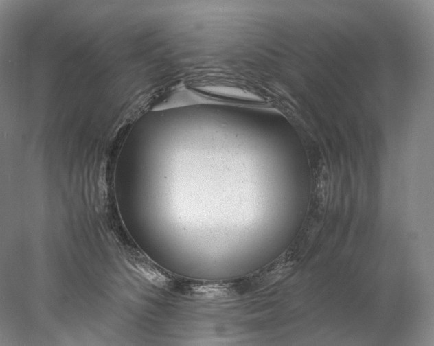 X0000078000516200611171824