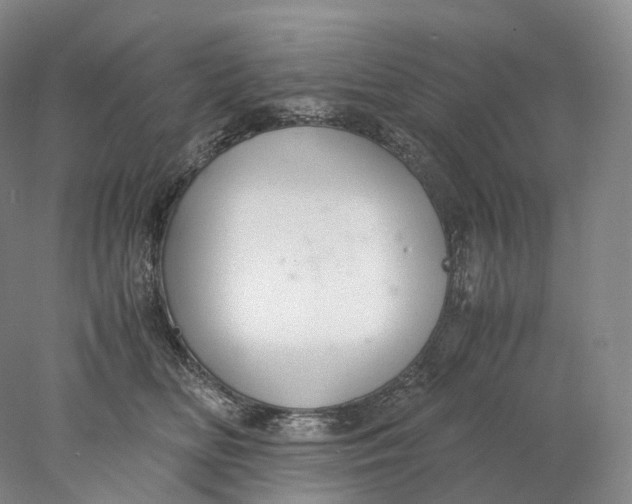 X0000078000518200611171824