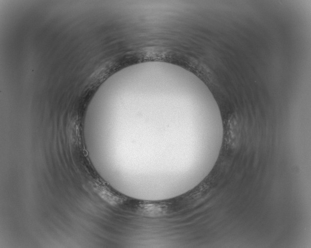 X0000078000522200611171824