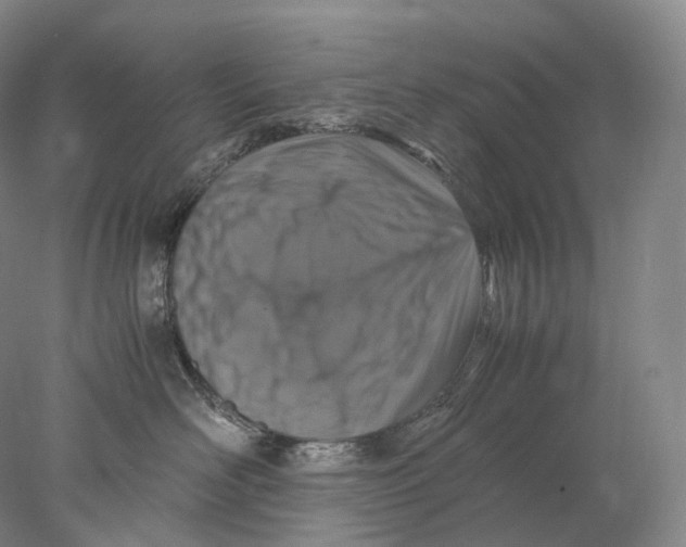 X0000078000526200611171824