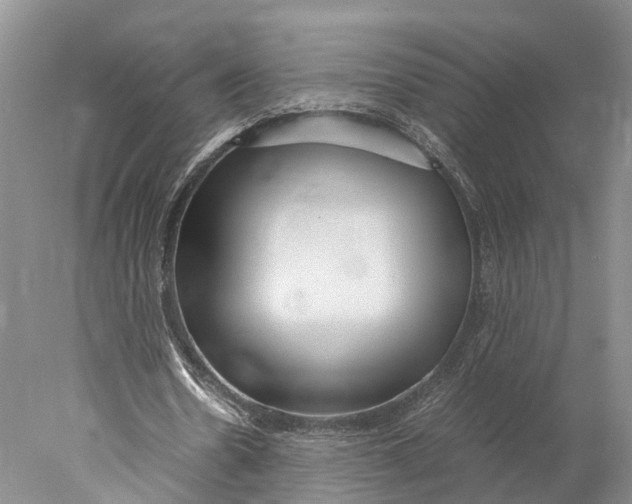 X0000078000530200611171823