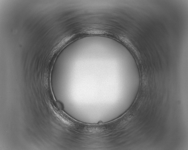 X0000078000533200611171823