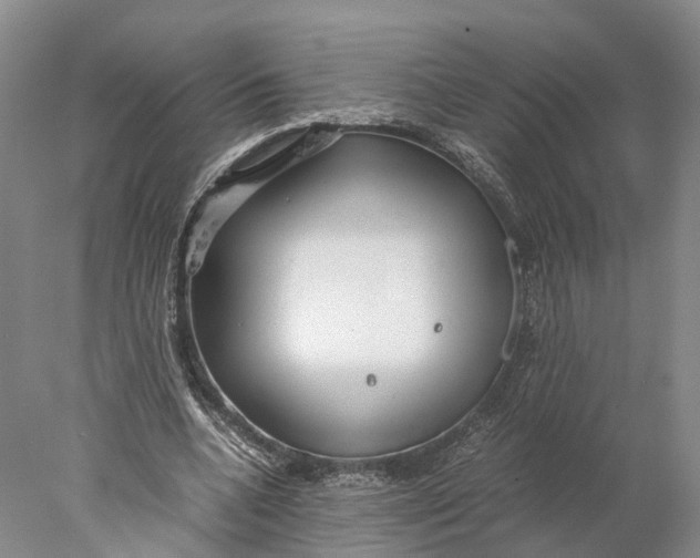 X0000078000536200611171823