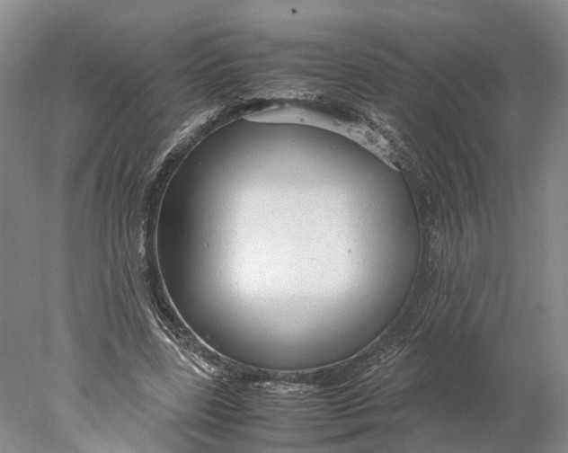 X0000078000539200611171823