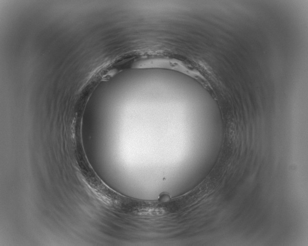 X0000078000543200611171823