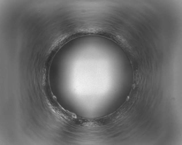 X0000078000544200611171823