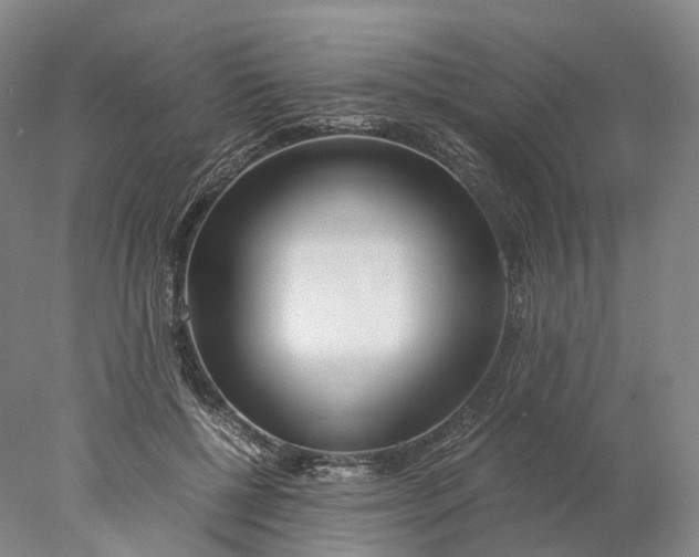 X0000078000552200611171823