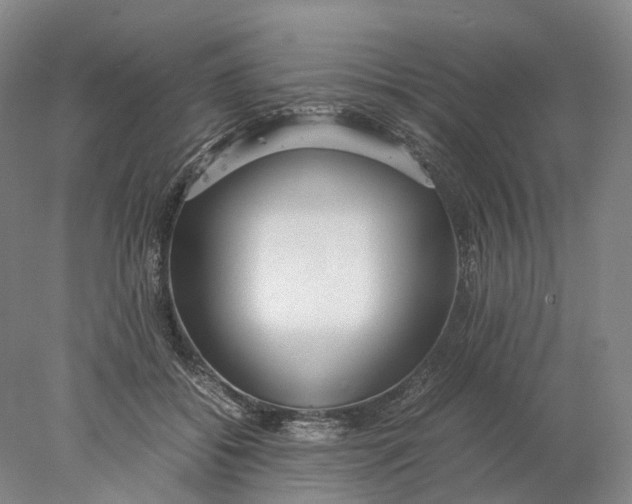 X0000078000556200611171823