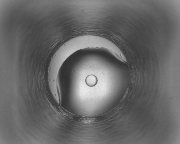 X0000078000560200611171823