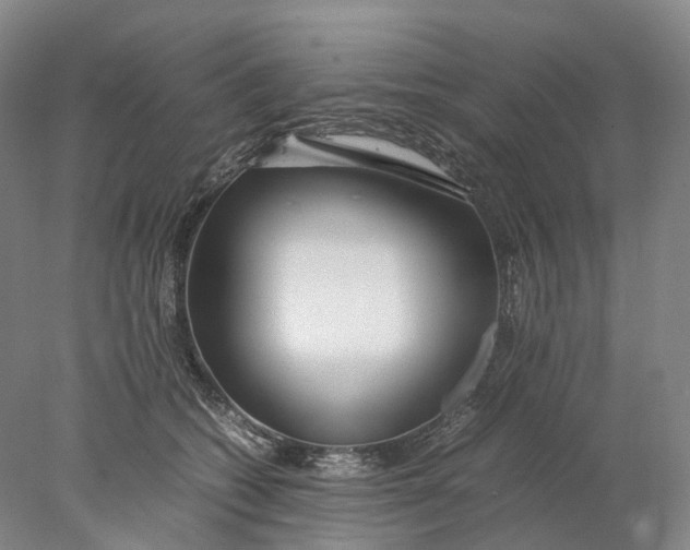 X0000078000562200611171823