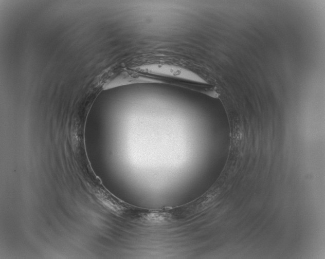 X0000078000566200611171823