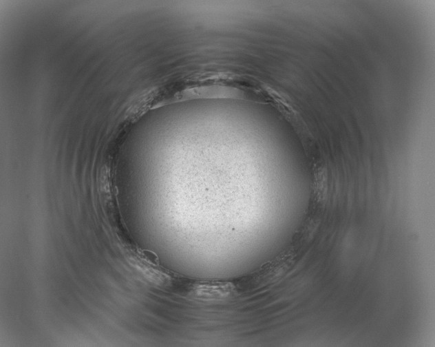X0000078000571200611171823