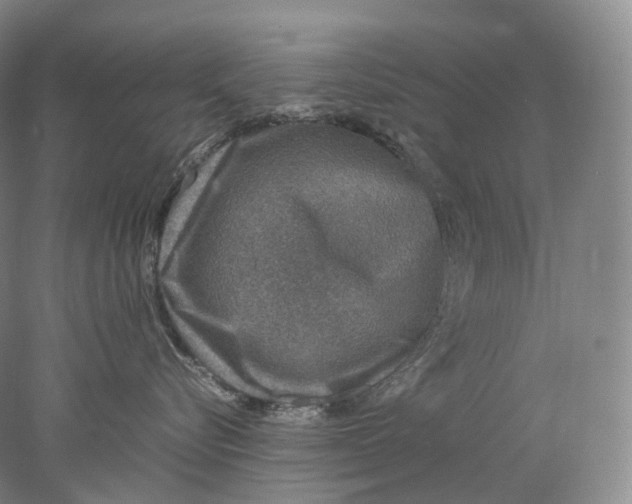 X0000078000576200611171823