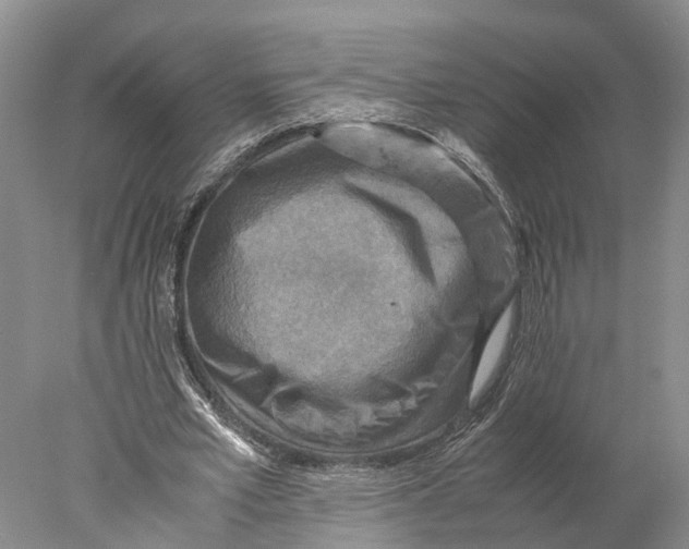 X0000078000581200611171823