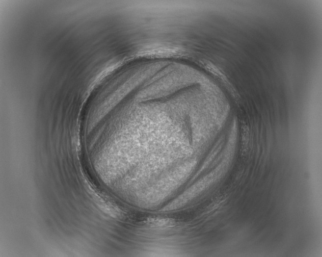 X0000078000582200611171823