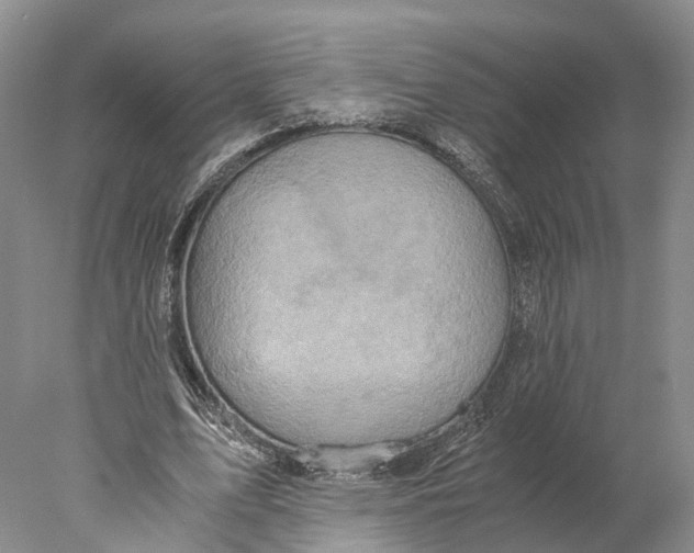 X0000078000583200611171823
