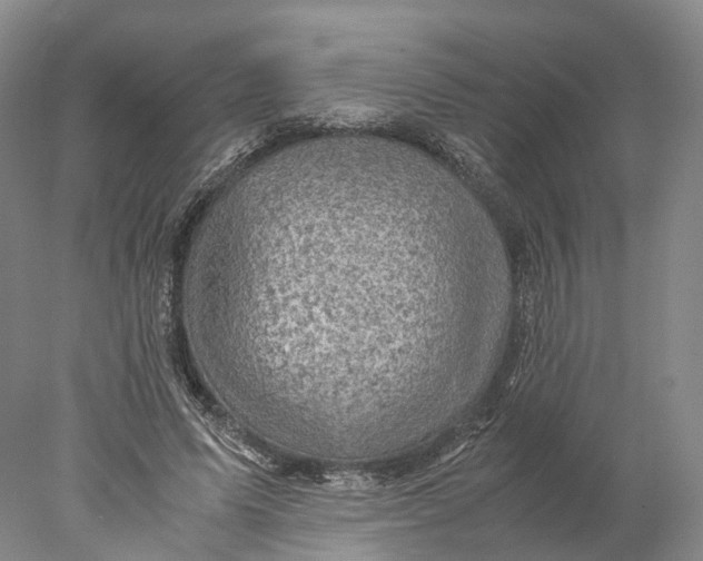 X0000078000591200611171822
