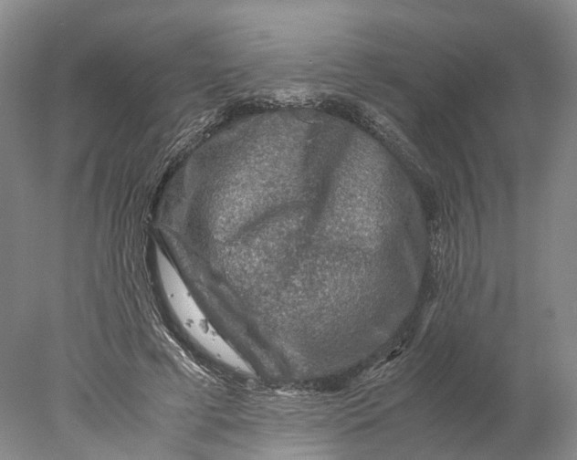 X0000078000593200611171822