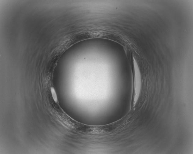 X0000078000601200611171822