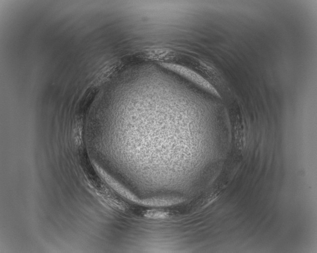 X0000078000602200611171822