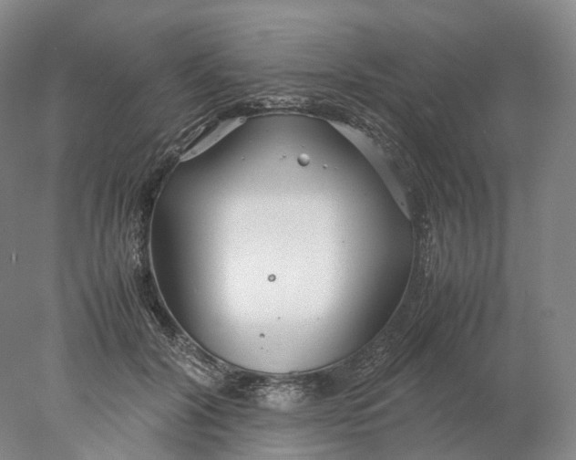 X0000078000604200611171822