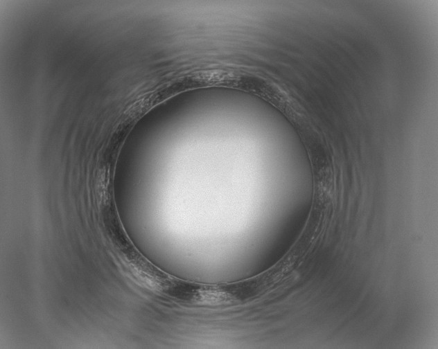 X0000078000605200611171822