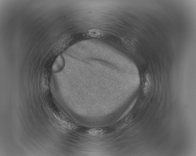 X0000078000606200611171822
