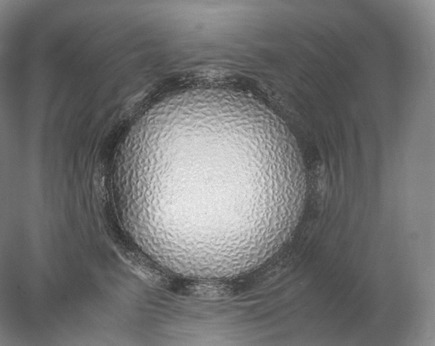 X0000078000615200611171822
