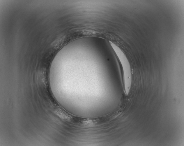 X0000078000616200611171822